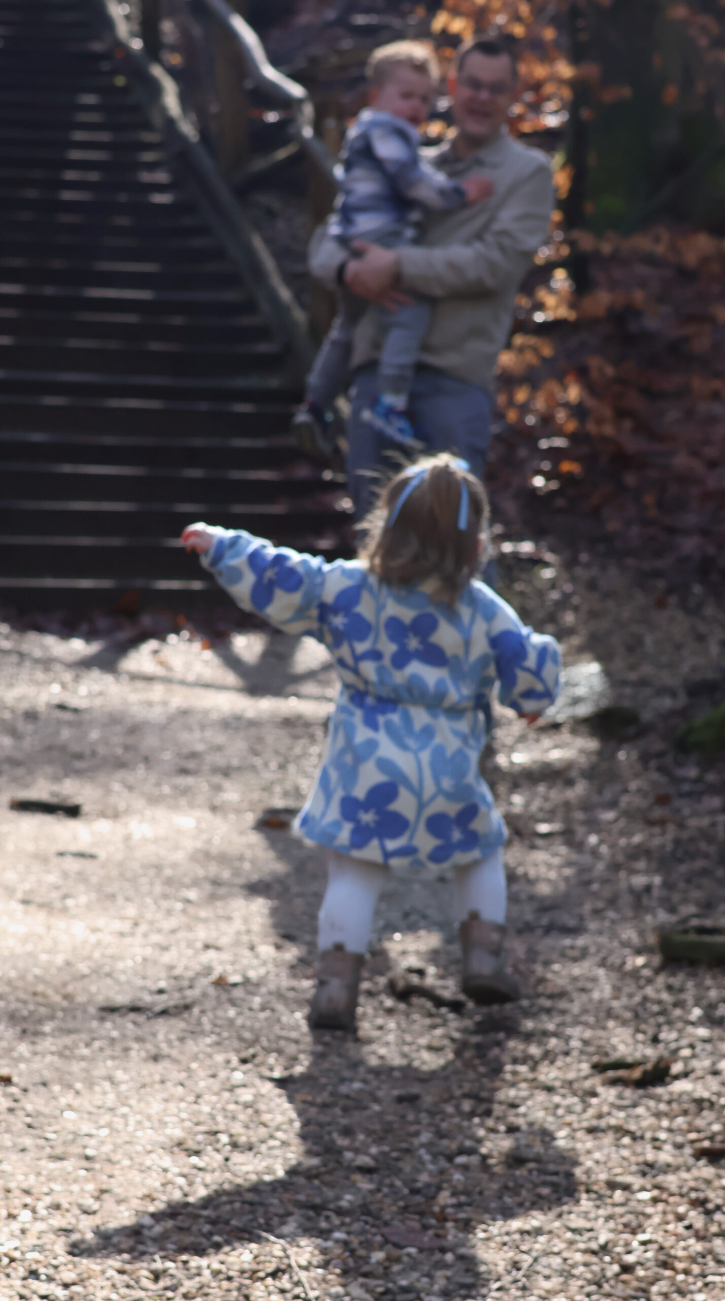 gezinnen 6 en onderaan bij pakketen